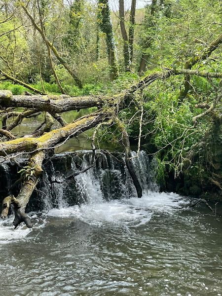 River Allen